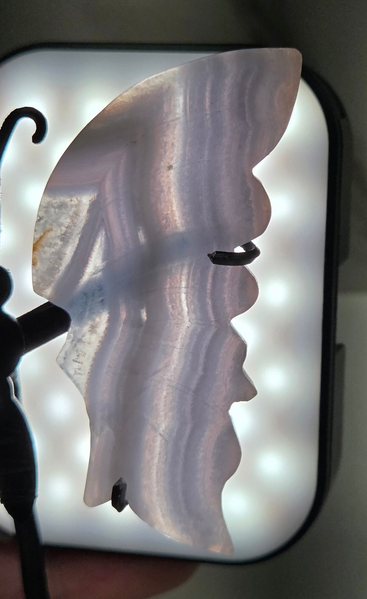 Backlit Blue Lace Agate butterfly wing to show banding and translucency