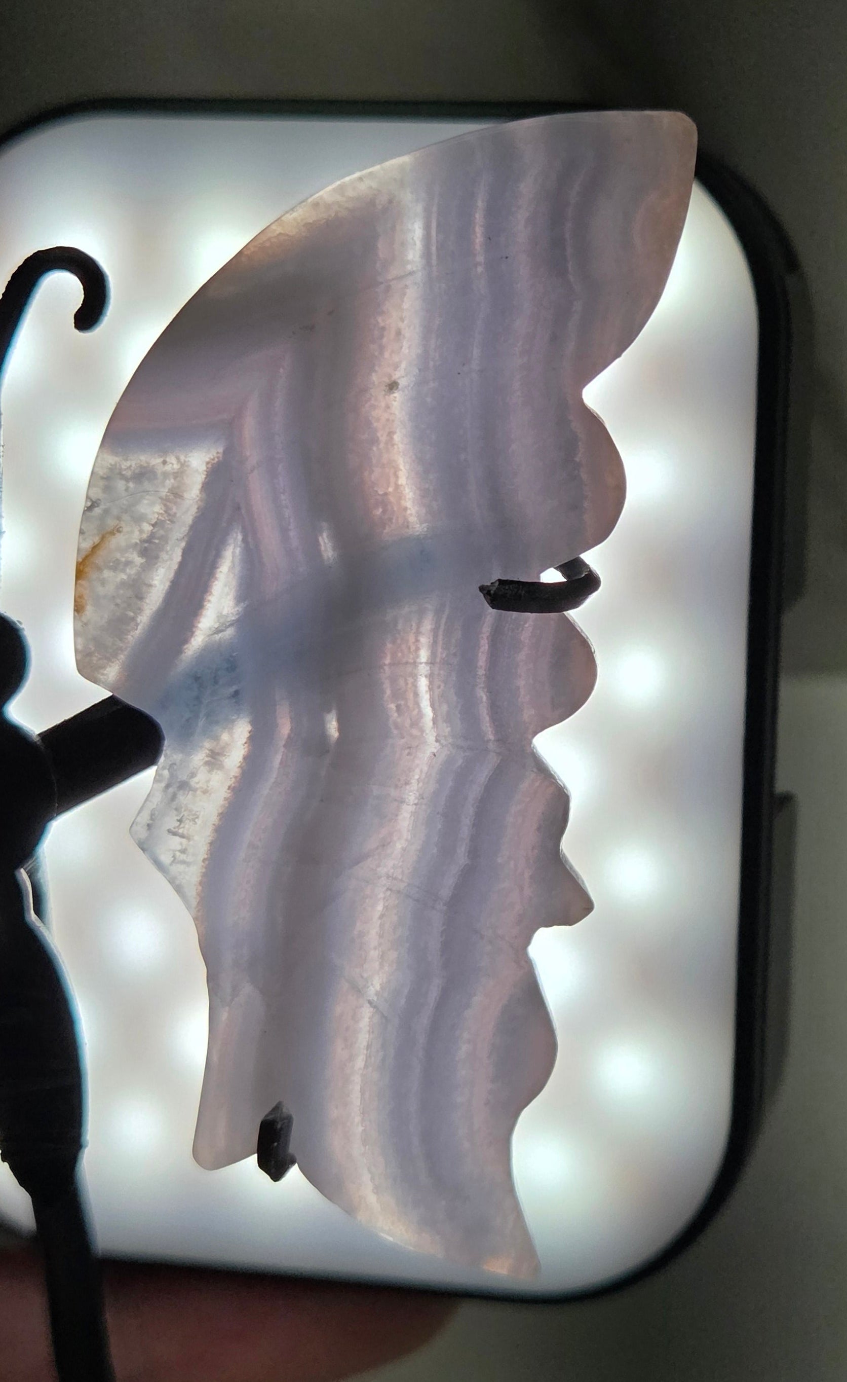 Backlit Blue Lace Agate butterfly wing to show banding and translucency