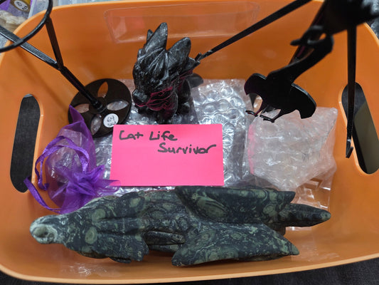 @Cat Life Survivor invoice 2/16