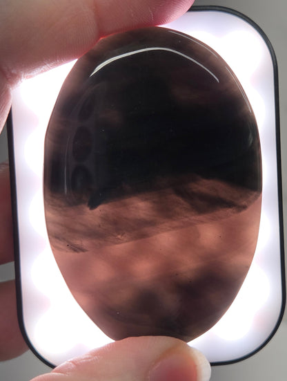 Palm - Midnight Lace Obsidian