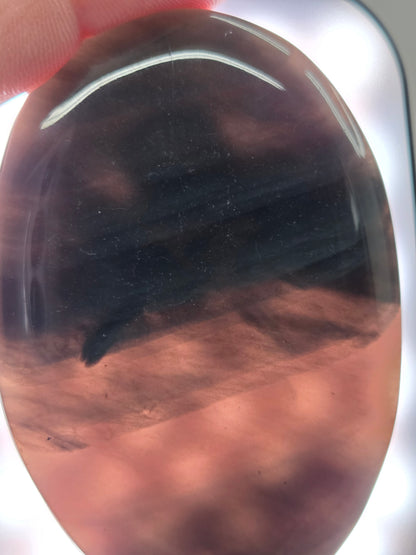 Palm - Midnight Lace Obsidian