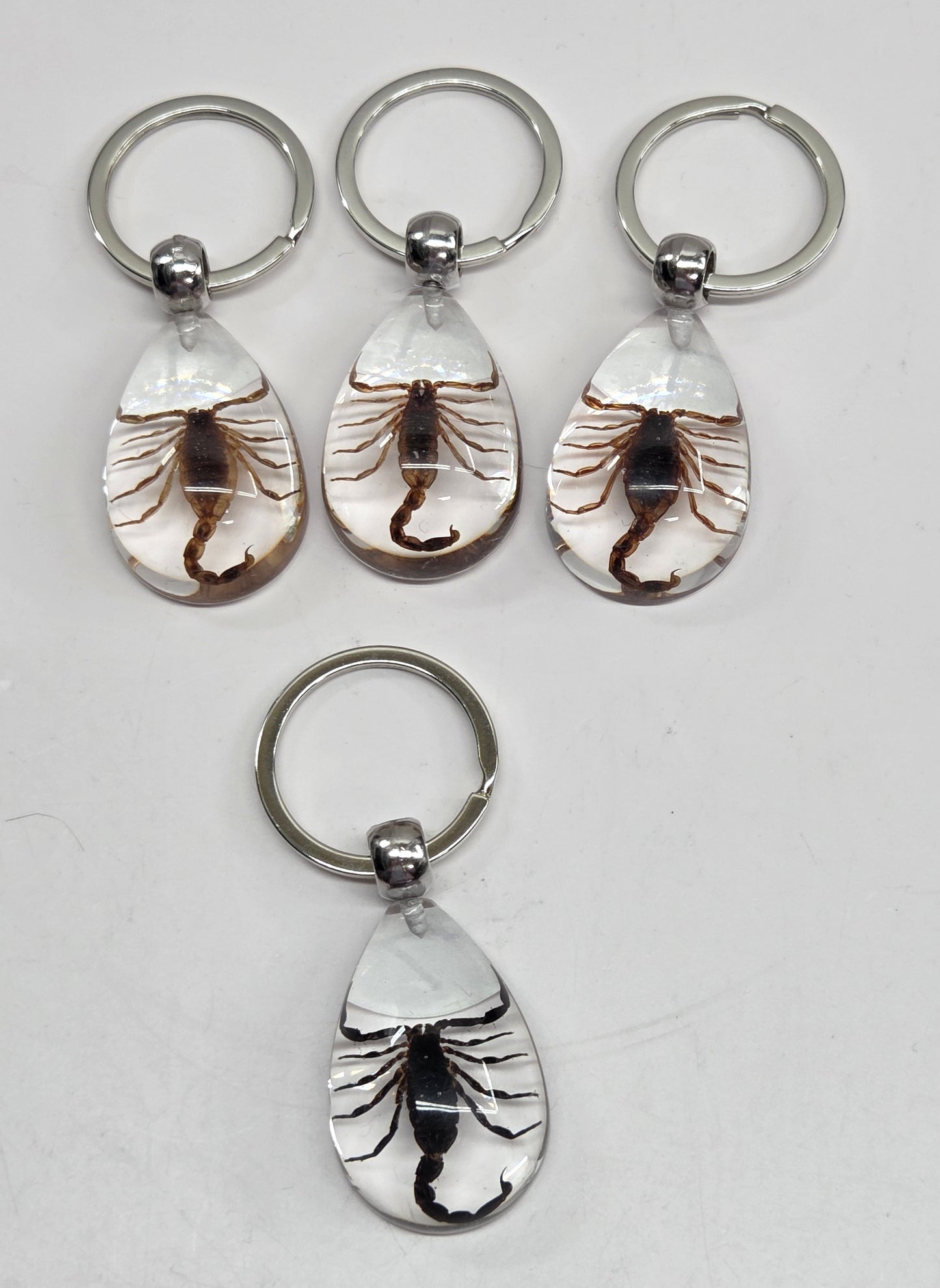 Keychains with a scorpions encased in clear resin on a light gray background
