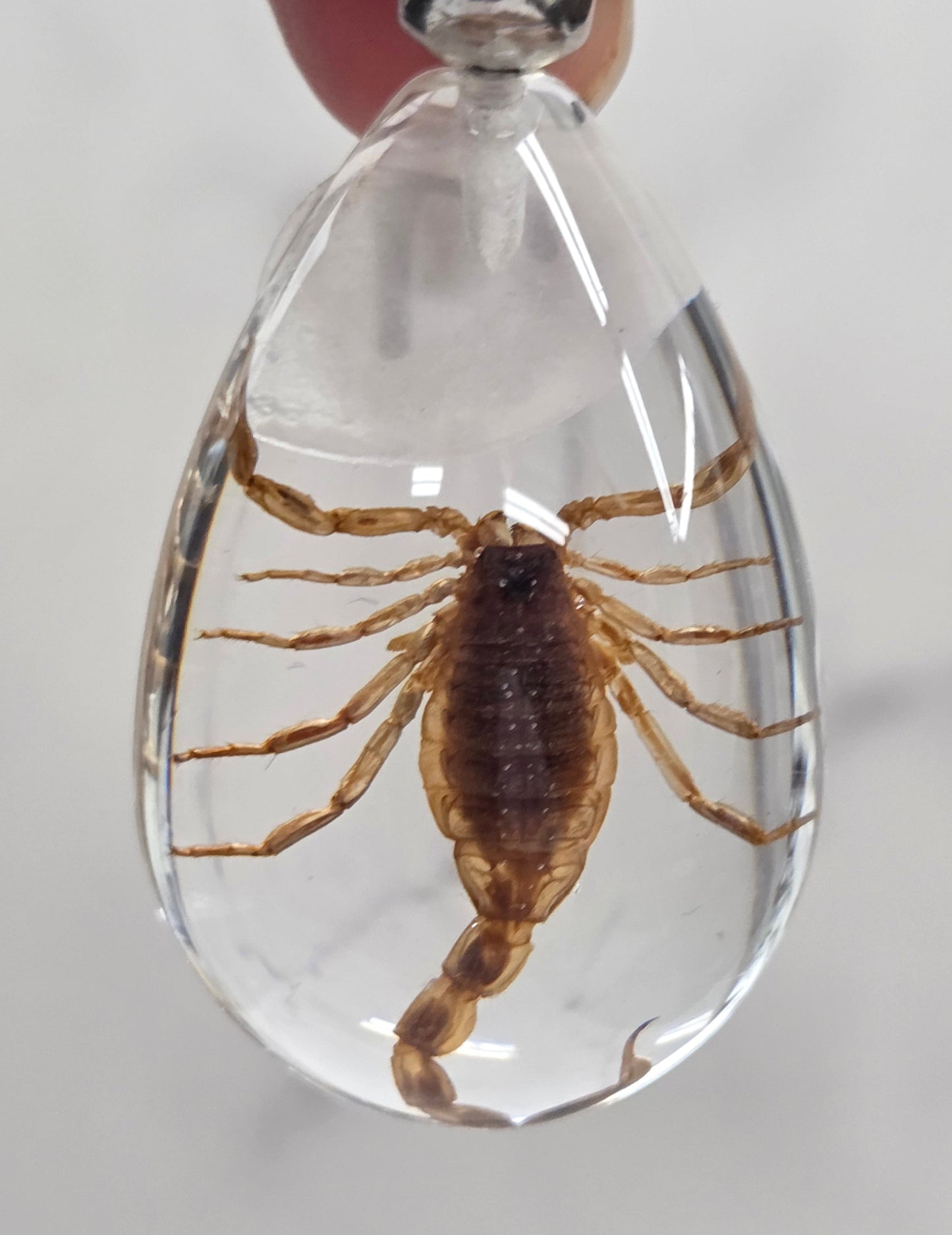 Keychain with a scorpion encased in clear resin on a light gray background