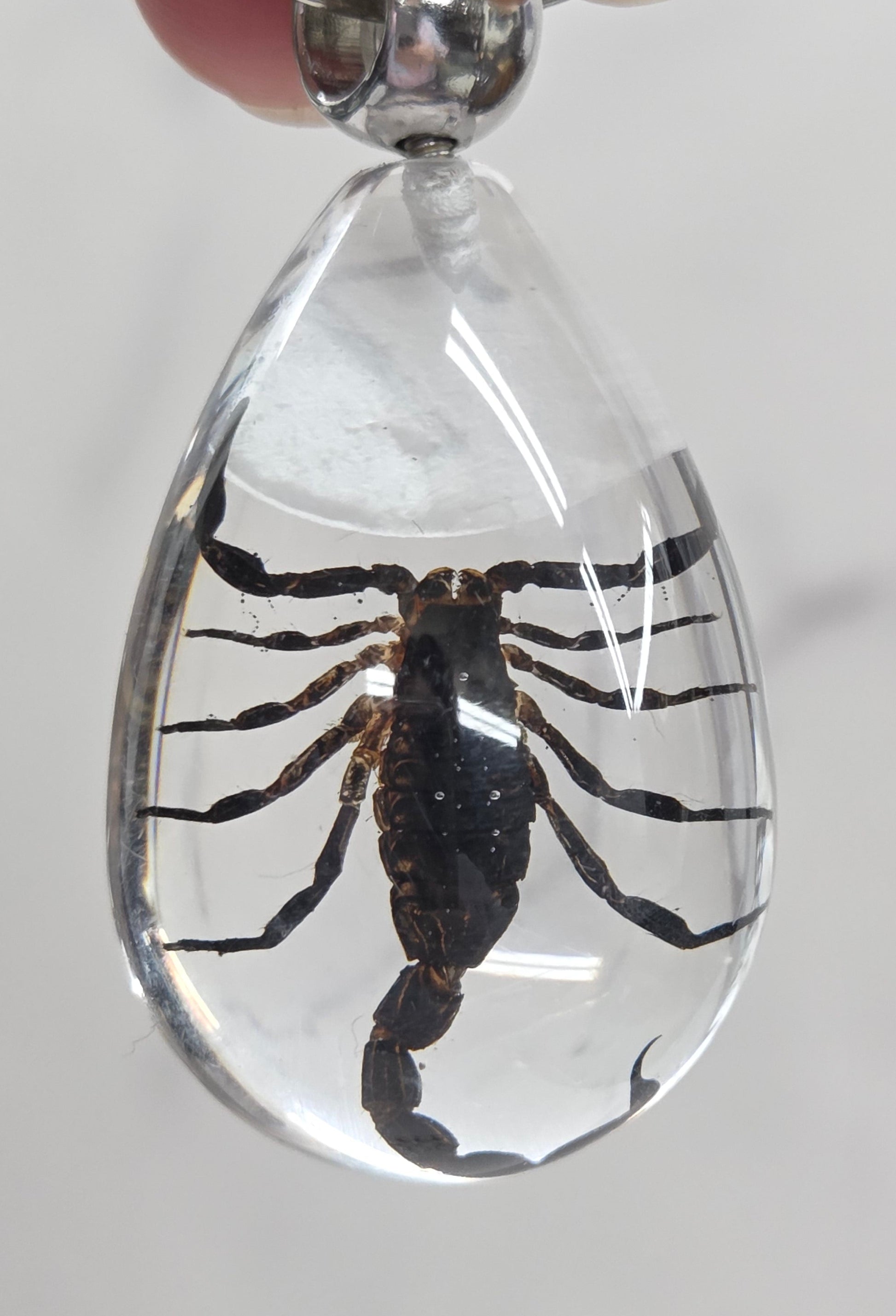 Keychain with a scorpion encased in clear resin on a light gray background