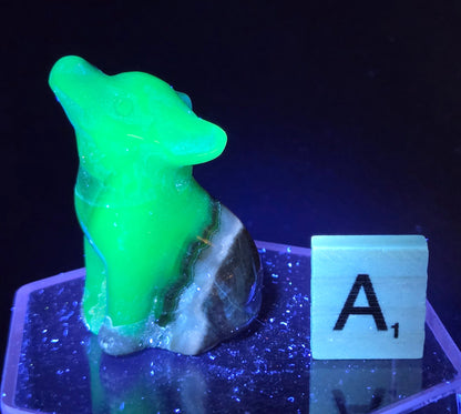 Volcano Agate wolf carving on a clear stand, next to a wooden block with 'A' under UV light