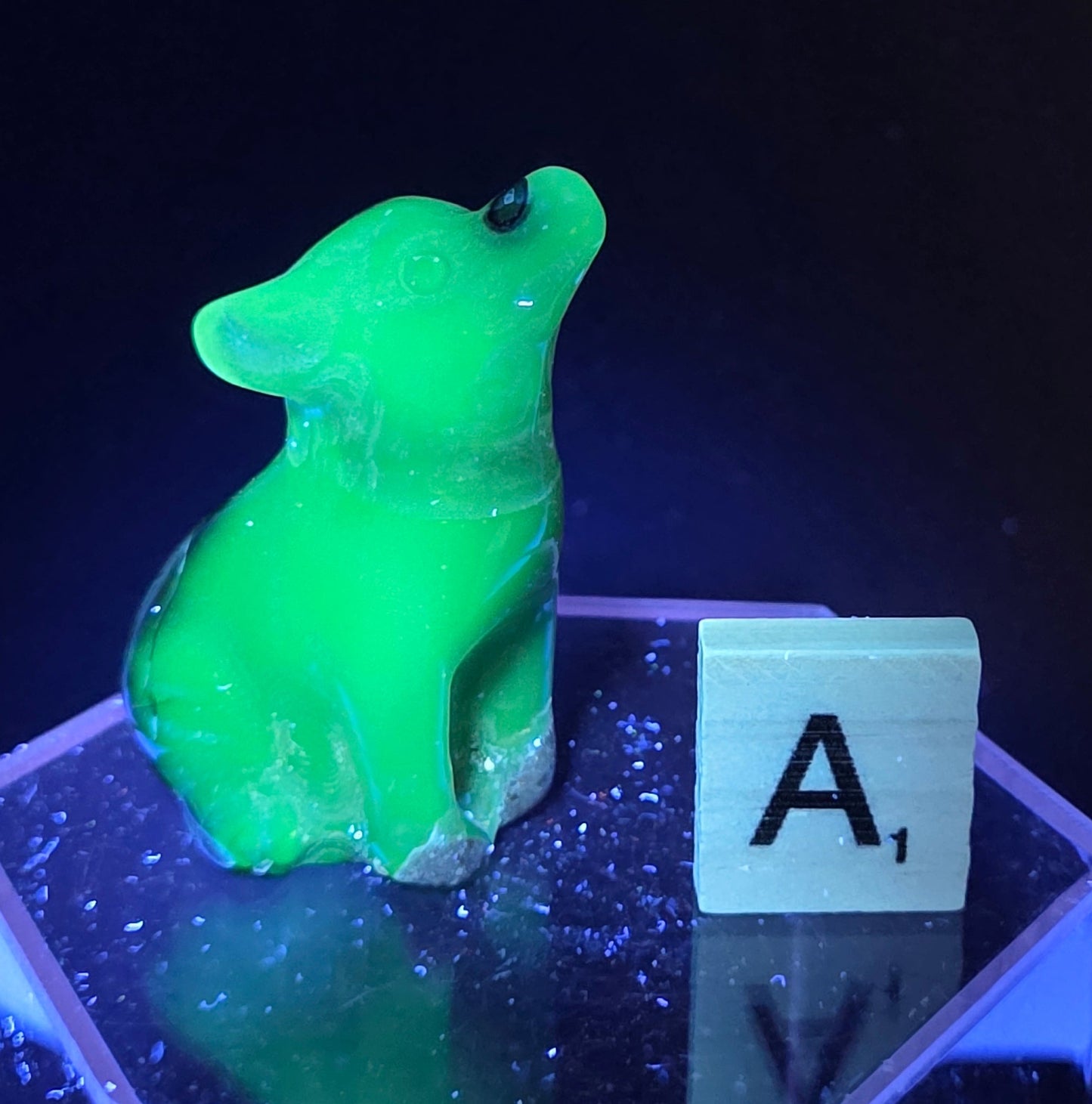 Volcano Agate wolf carving on a clear stand, next to a wooden block with 'A' under UV light