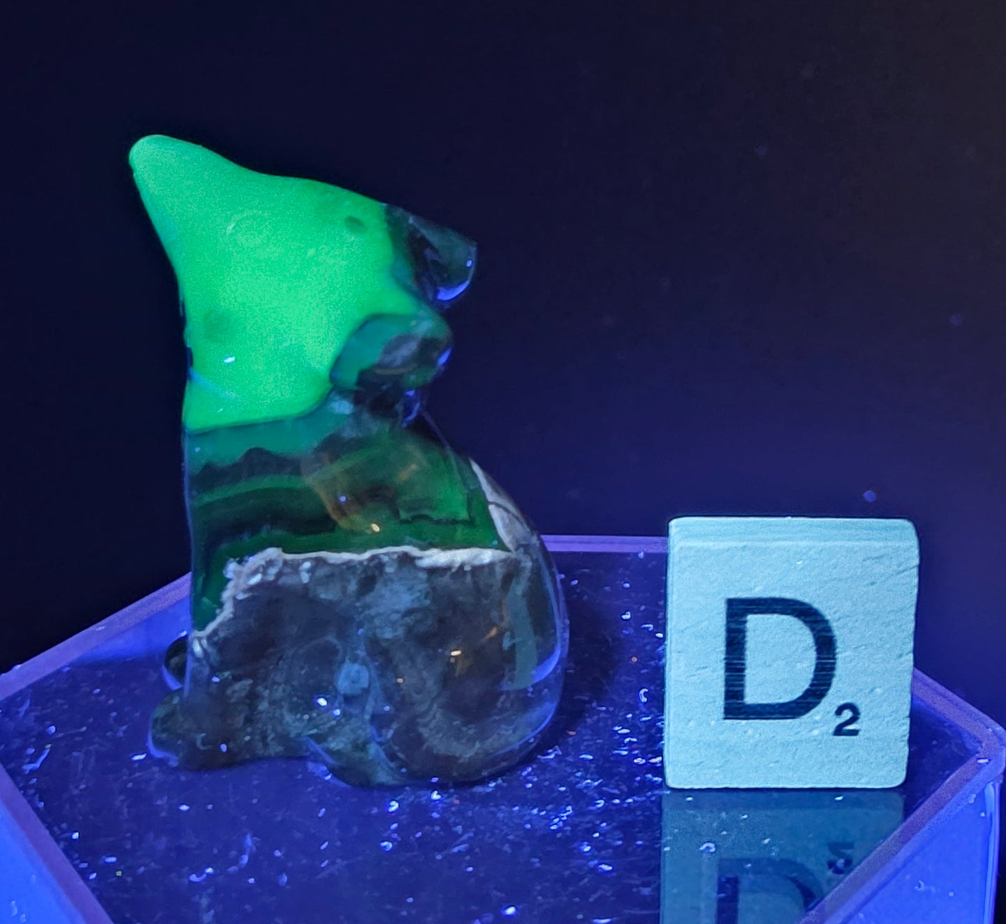 Volcano Agate wolf carving on a clear stand, next to a wooden block with 'D' under UV light