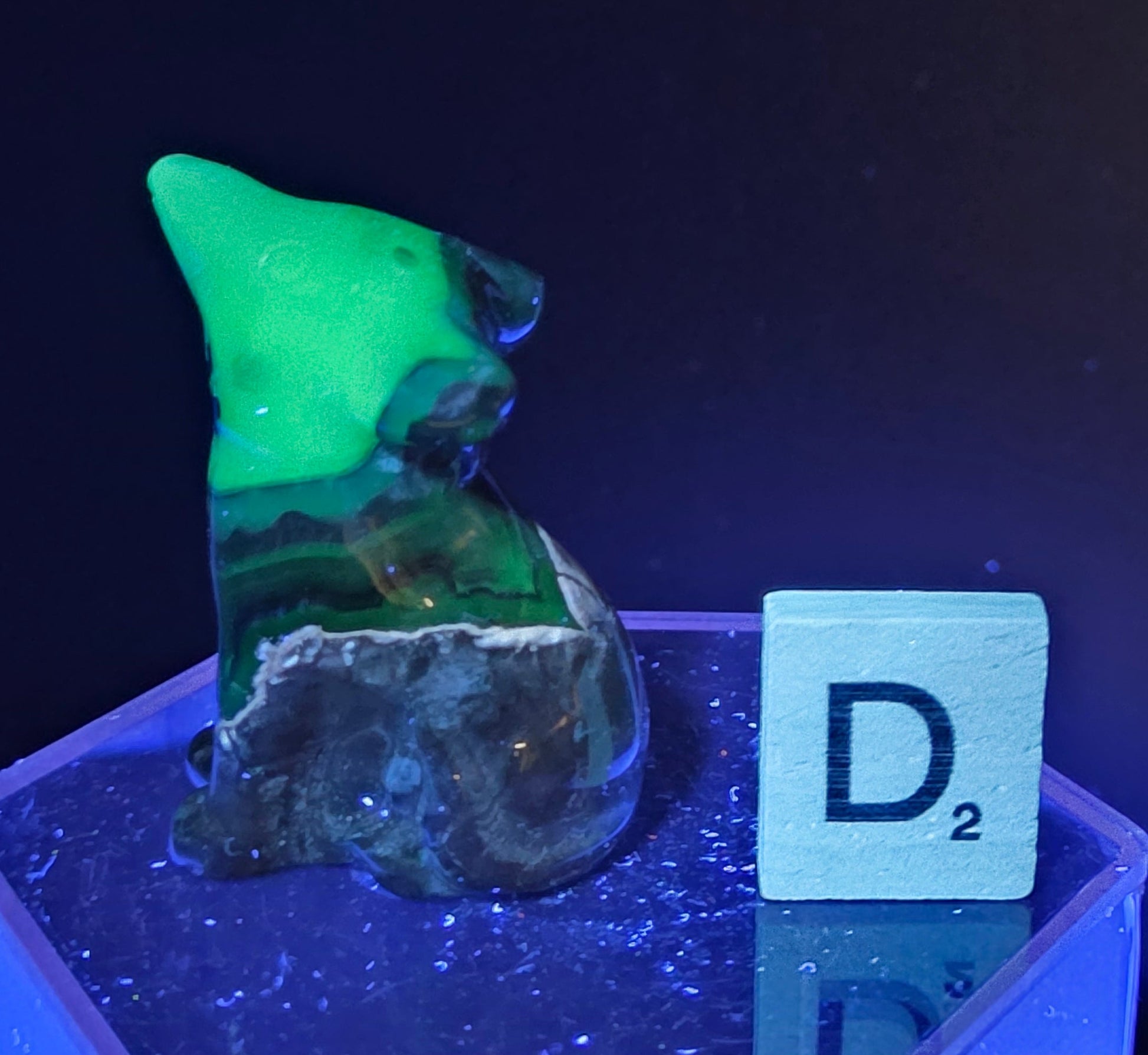 Volcano Agate wolf carving on a clear stand, next to a wooden block with 'D' under UV light