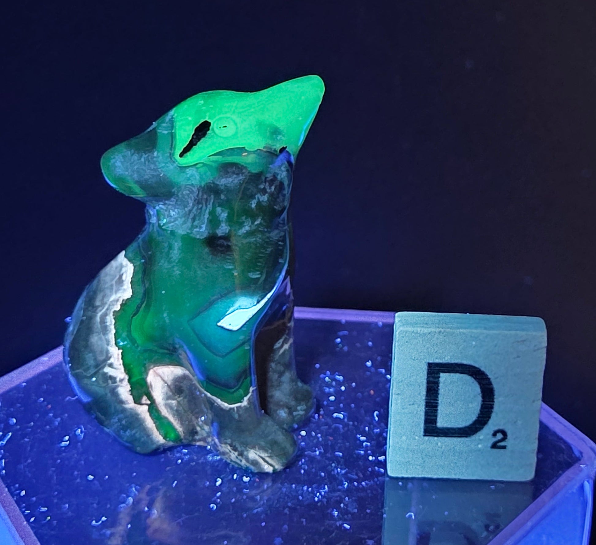 Volcano Agate wolf carving on a clear stand, next to a wooden block with 'D' under UV light