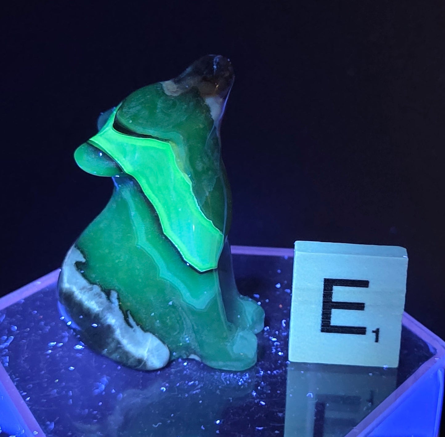Volcano Agate wolf carving on a clear stand, next to a wooden block with 'E' under UV light