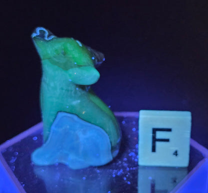 Volcano Agate wolf carving on a clear stand, next to a wooden block with 'F' under UV light