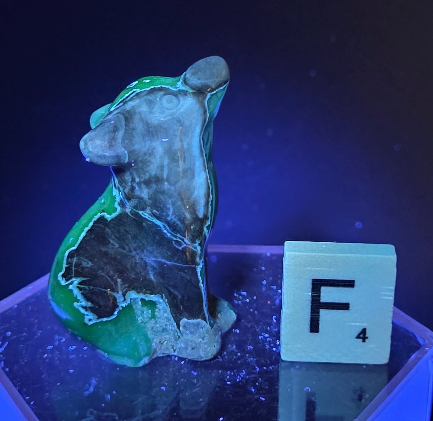 Volcano Agate wolf carving on a clear stand, next to a wooden block with 'F' under UV light