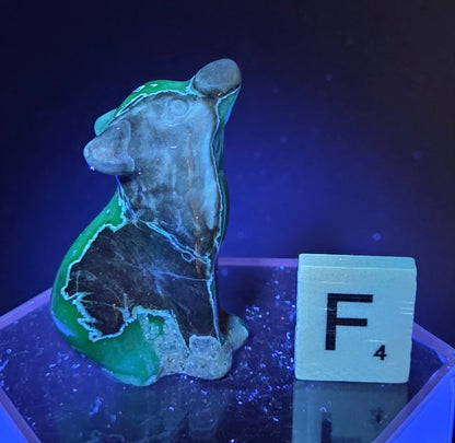 Volcano Agate wolf carving on a clear stand, next to a wooden block with 'F' under UV light