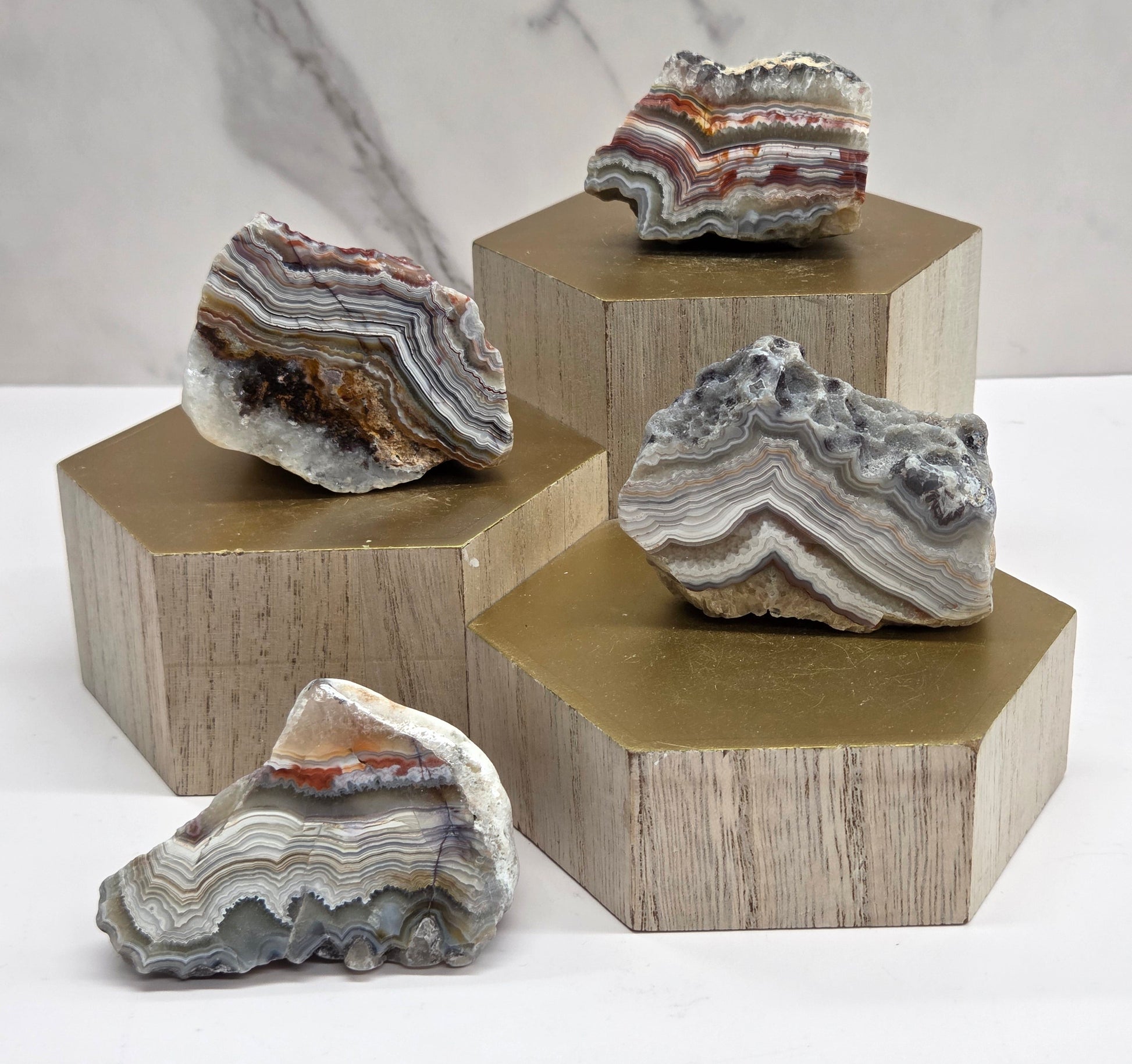 Collection of 4 laguna lace agate polished specimens on a wooden stand and neutral background