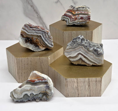 Collection of 4 laguna lace agate polished specimens on a wooden stand and neutral background
