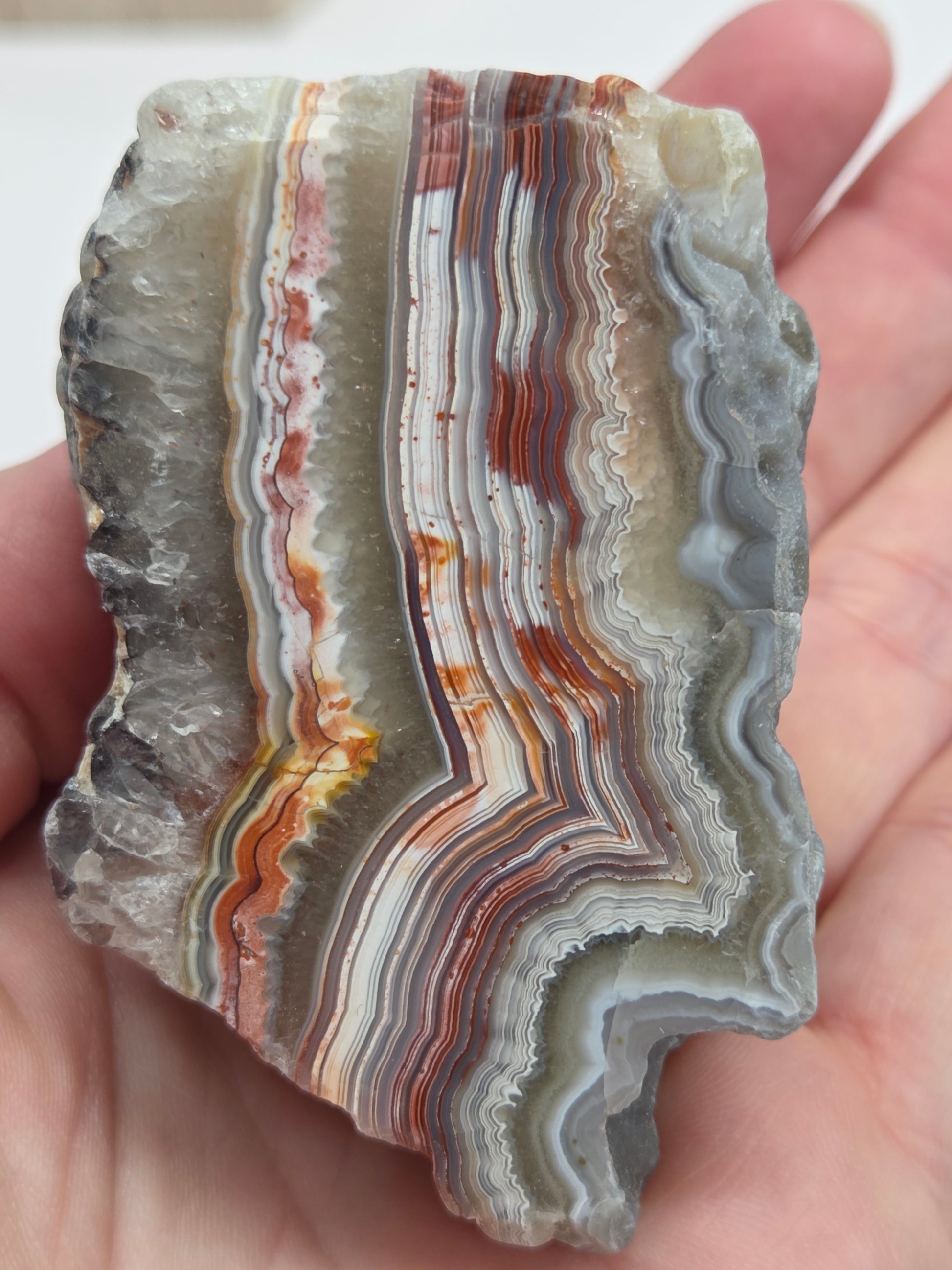 Hand holding a Laguna lace agate specimen with colorful banding on a wooden stand with a neutral background