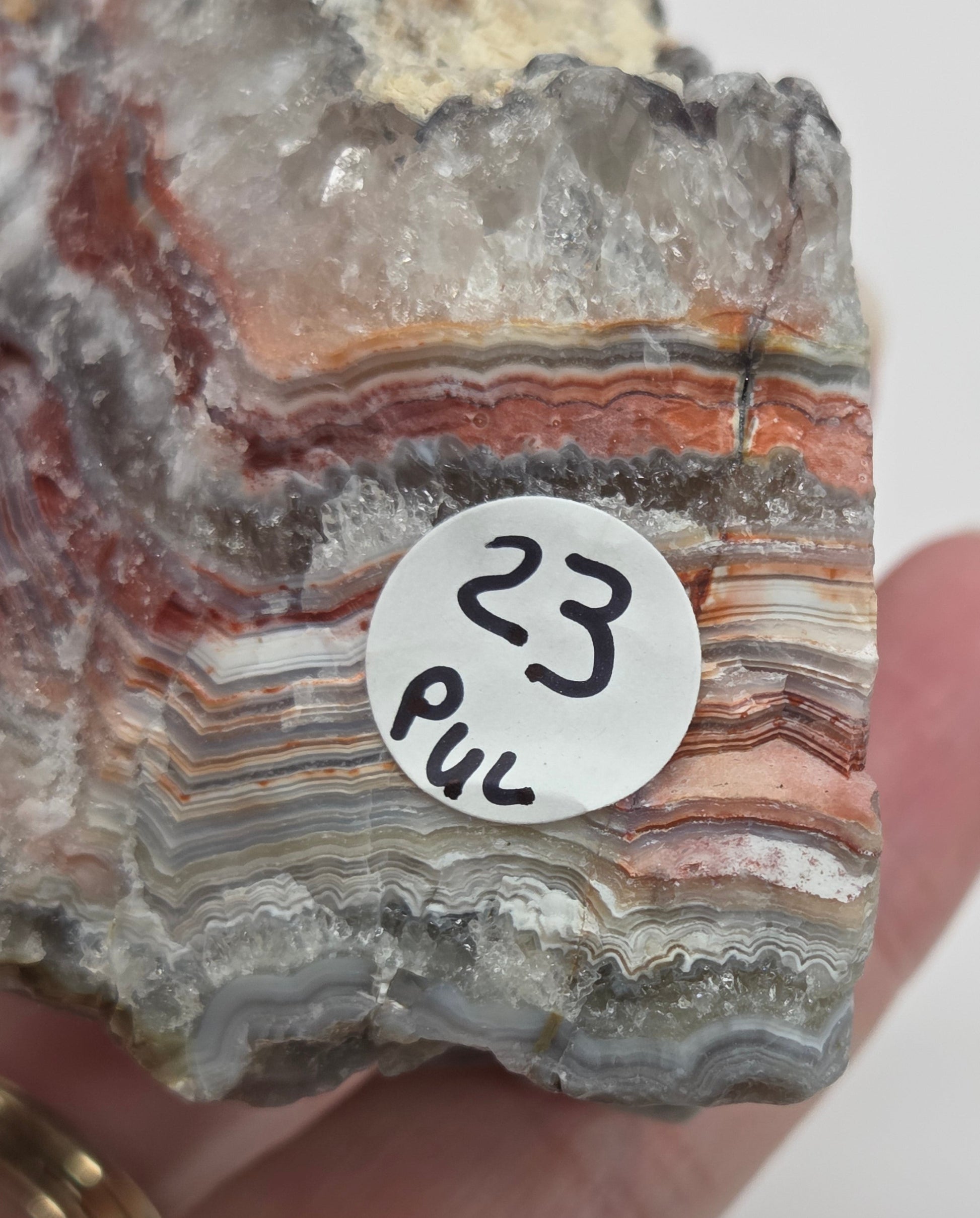Laguna lace agate specimen with colorful banding with a neutral background