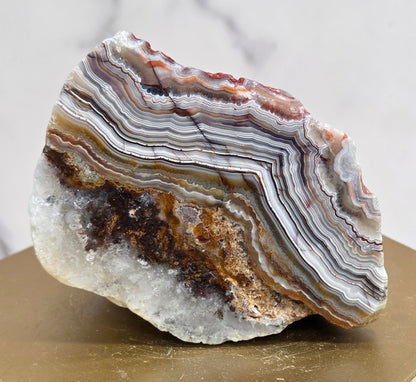 Laguna lace agate specimen with colorful banding on a wooden stand with a neutral background