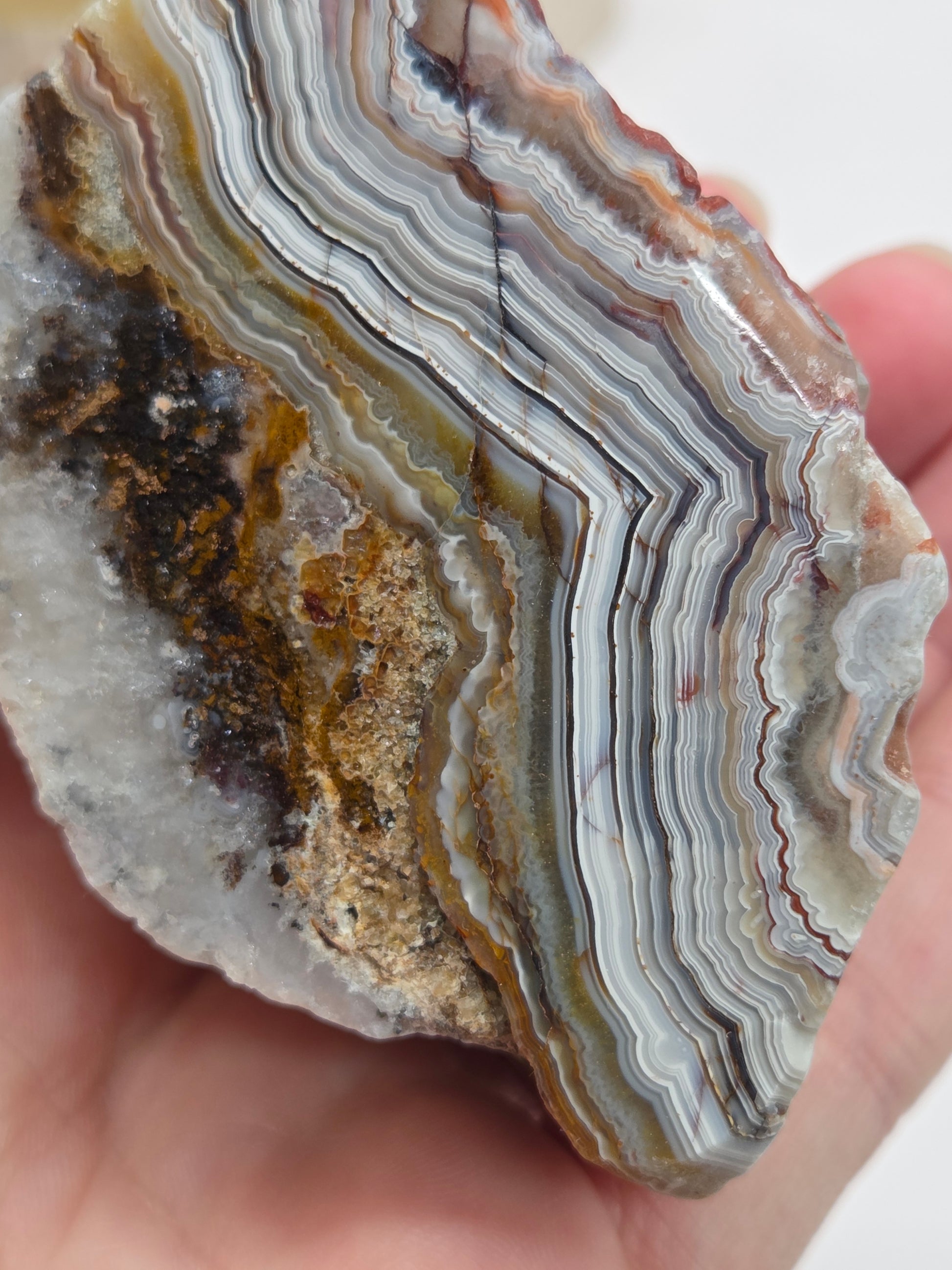 Hand holding a Laguna lace agate specimen with colorful banding on a wooden stand with a neutral background