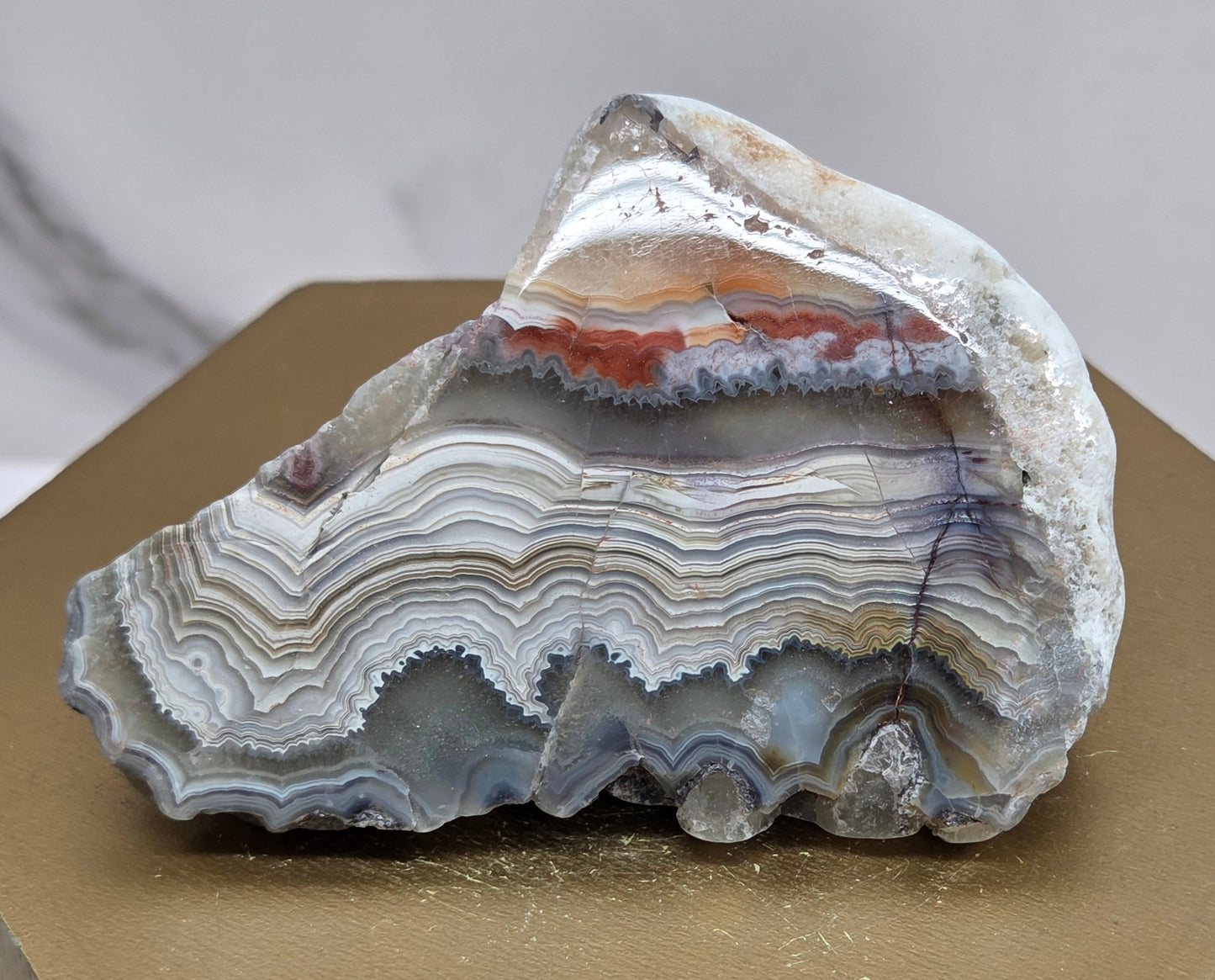 Laguna lace agate specimen with colorful banding on a wooden stand with a neutral background