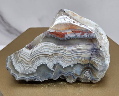 Laguna lace agate specimen with colorful banding on a wooden stand with a neutral background