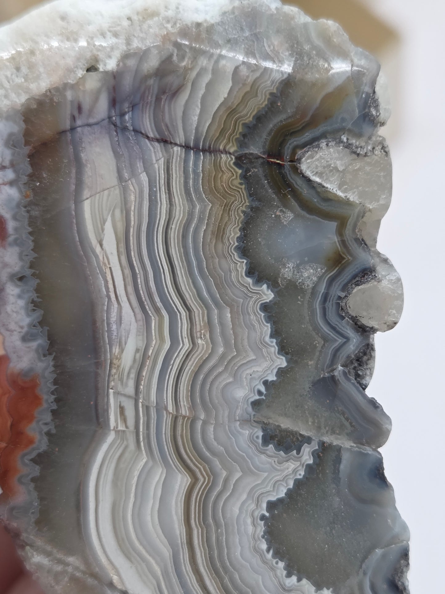 Close-up of a Laguna lace agate specimen with colorful banding with a neutral background