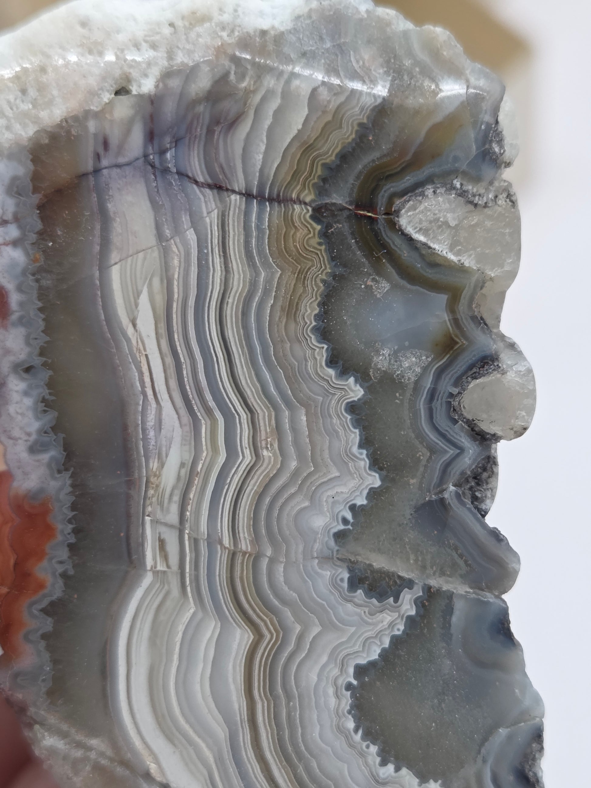 Close-up of a Laguna lace agate specimen with colorful banding with a neutral background