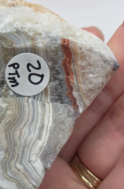 Close=up of Laguna lace agate specimen with colorful banding with a neutral background