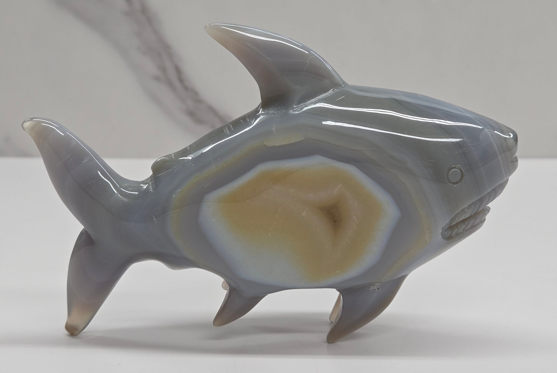 Agate shark carving with banding on a white background