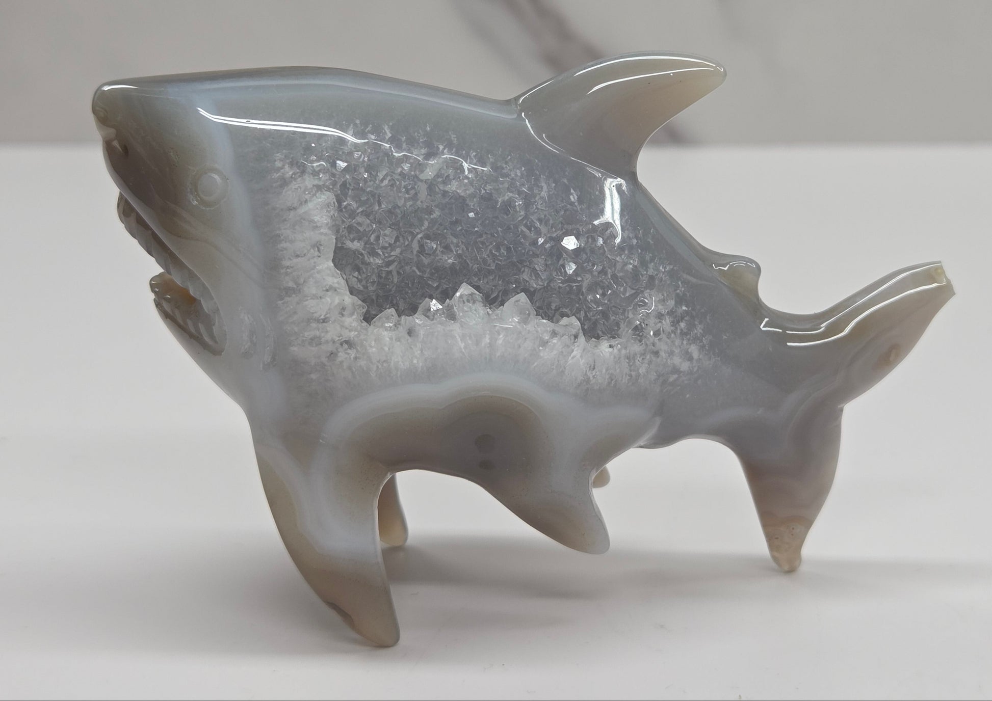 Agate shark carving with banding and drusy quartz on a white background