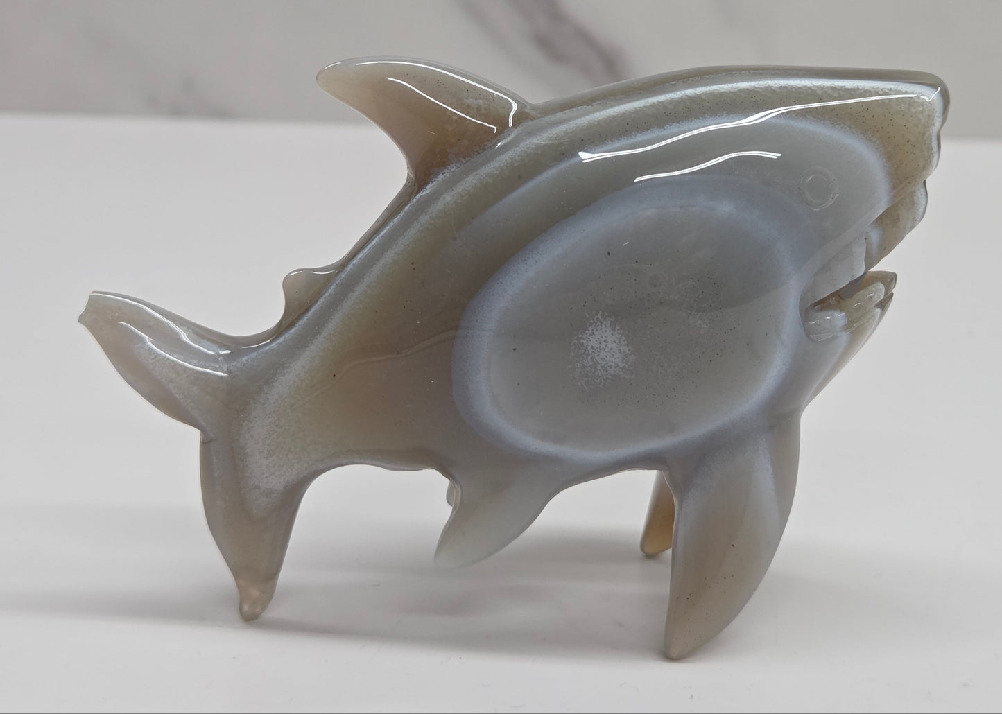 Agate shark carving with banding on a white background