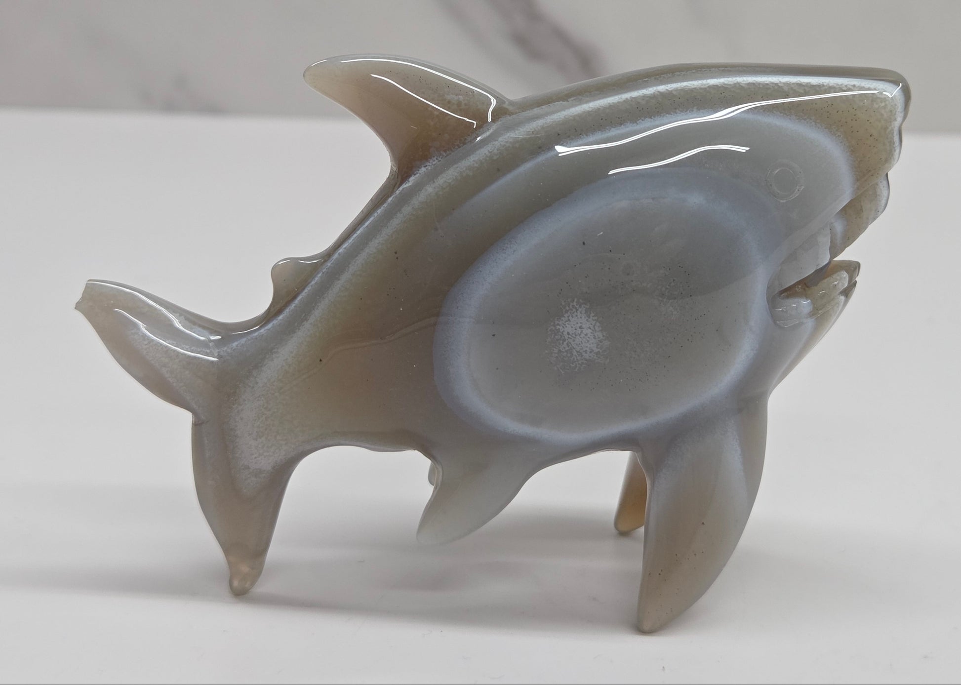 Agate shark carving with banding on a white background