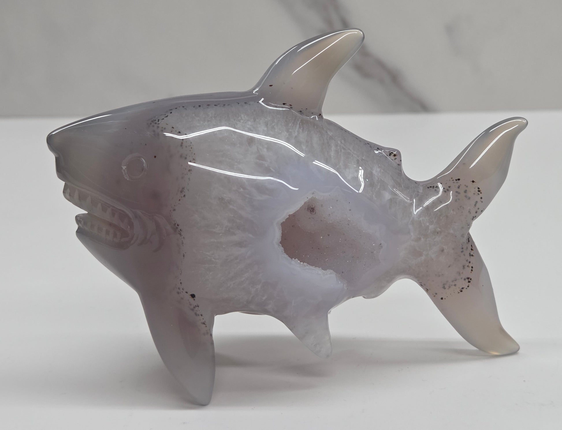 Agate shark carving with banding and drusy quartz on a white background