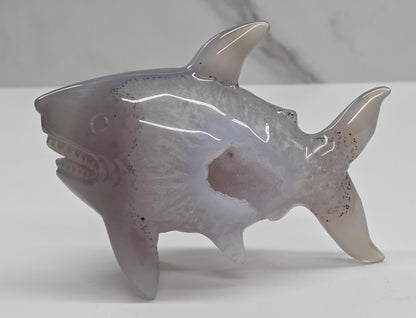 Agate shark carving with banding and drusy quartz on a white background