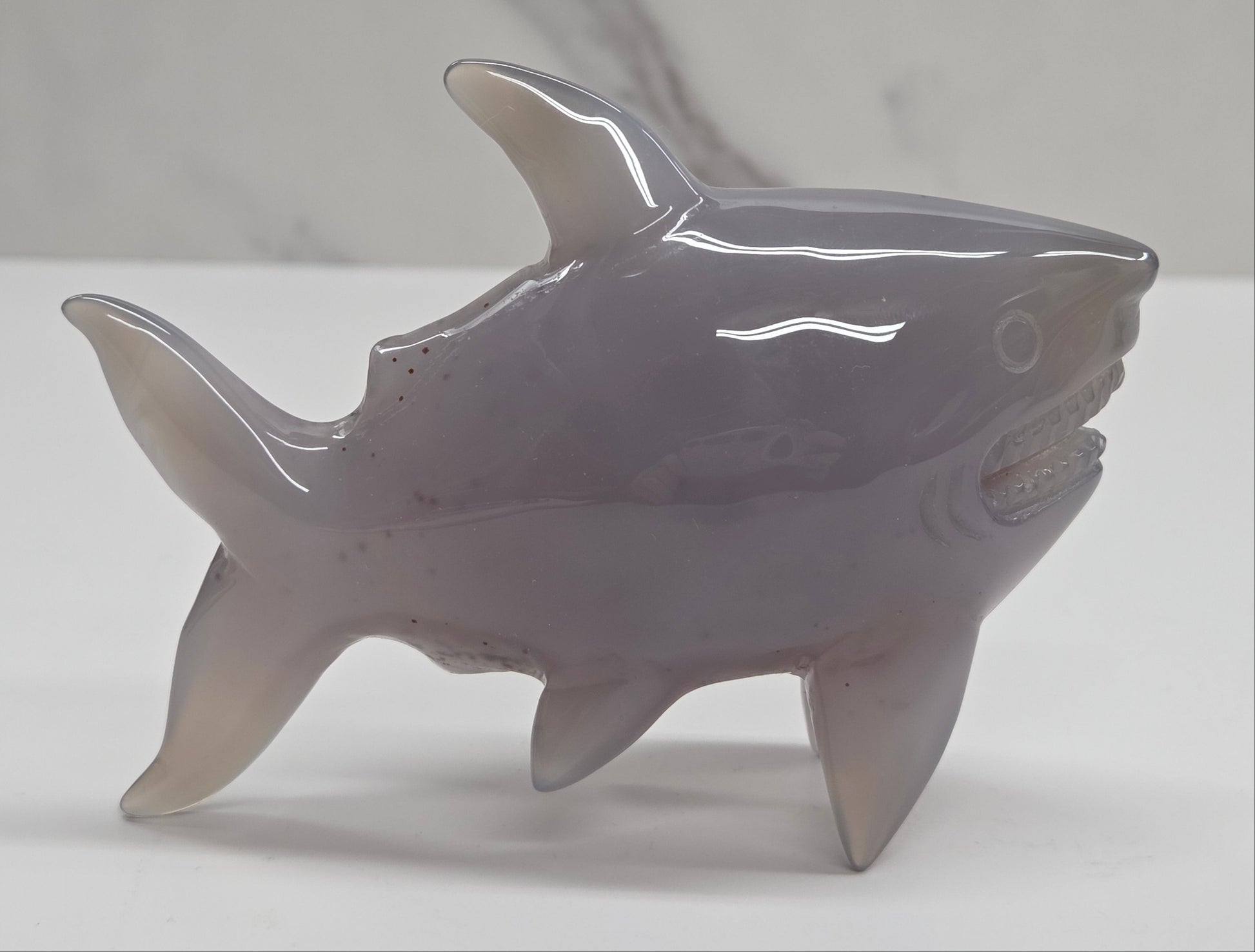 Grey Agate shark carving with banding on a white background
