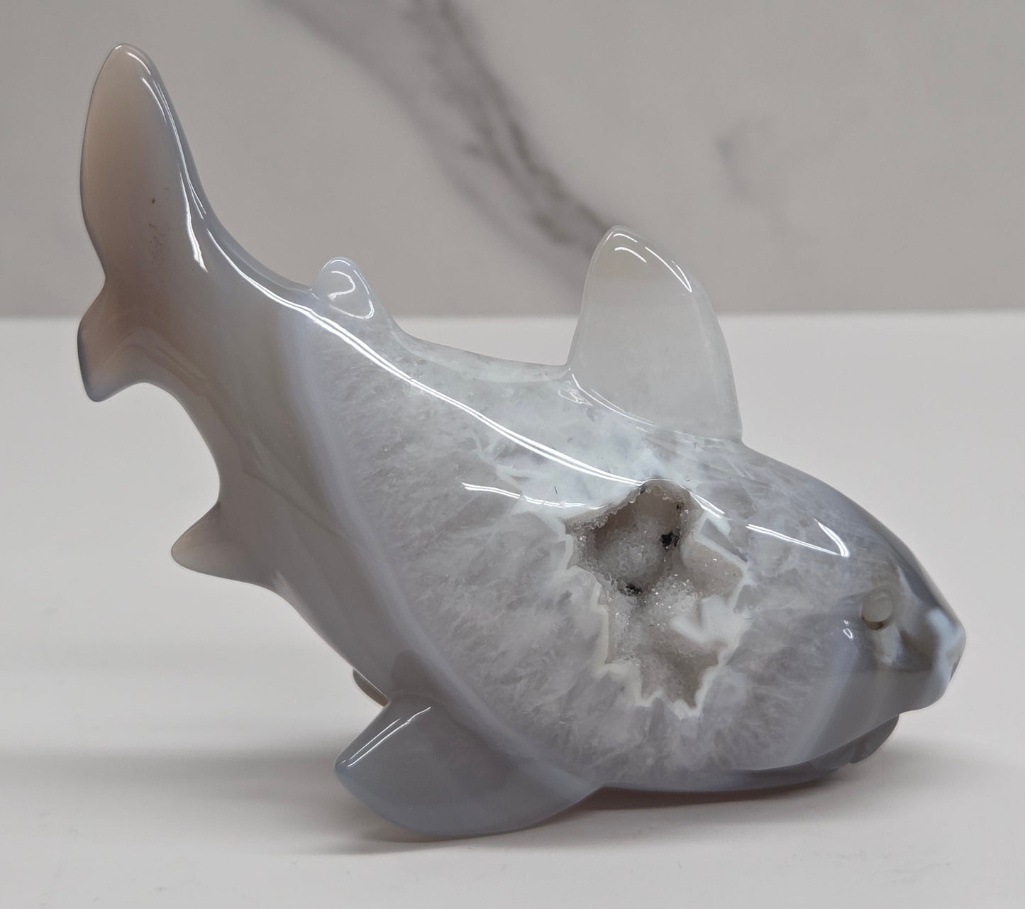 Agate shark carving with banding and drusy quartz on a white background