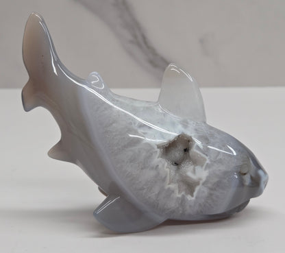 Agate shark carving with banding and drusy quartz on a white background