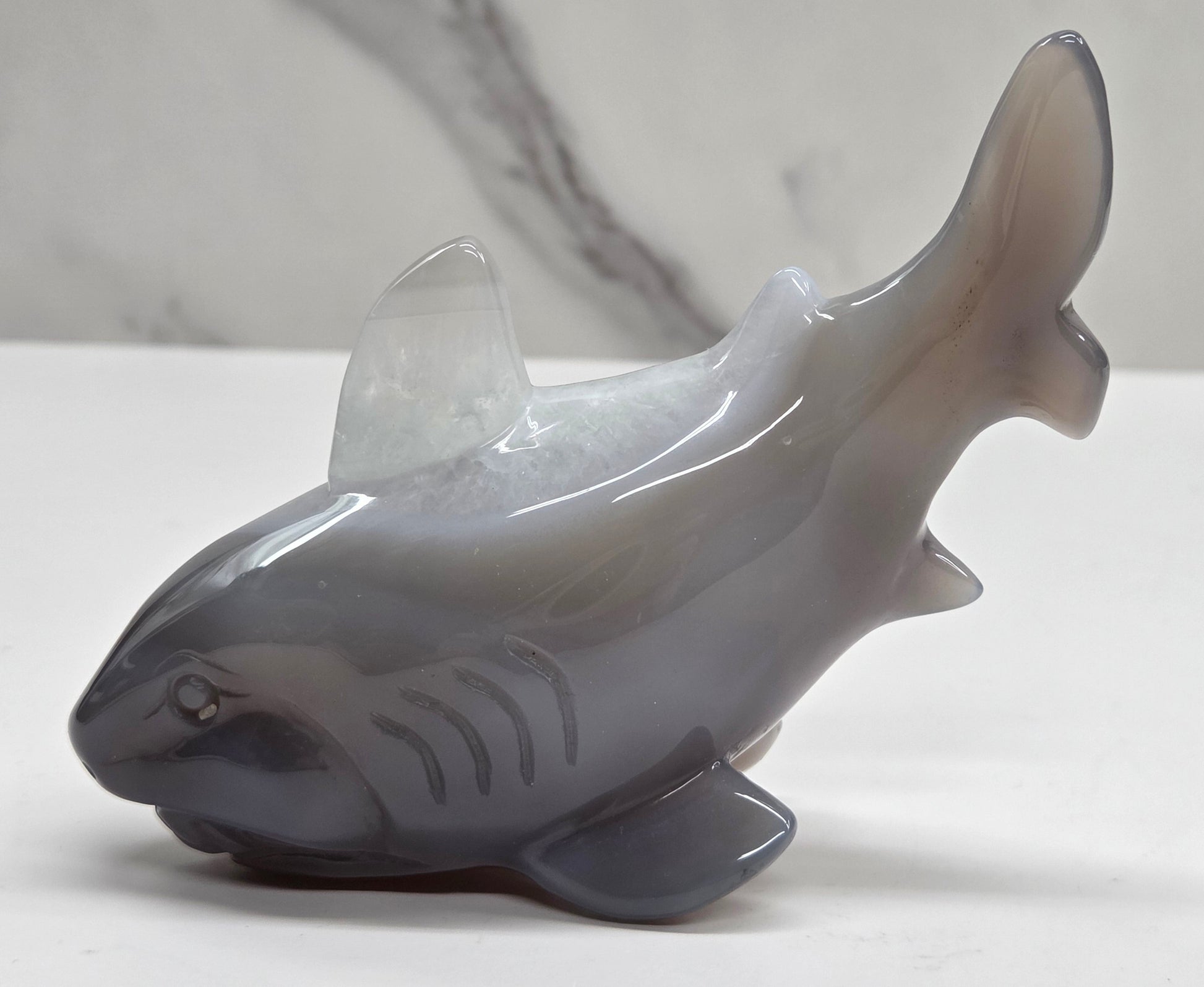Agate shark carving with banding a on a white background