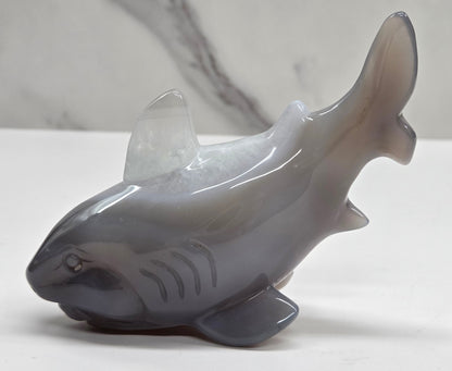Agate shark carving with banding a on a white background