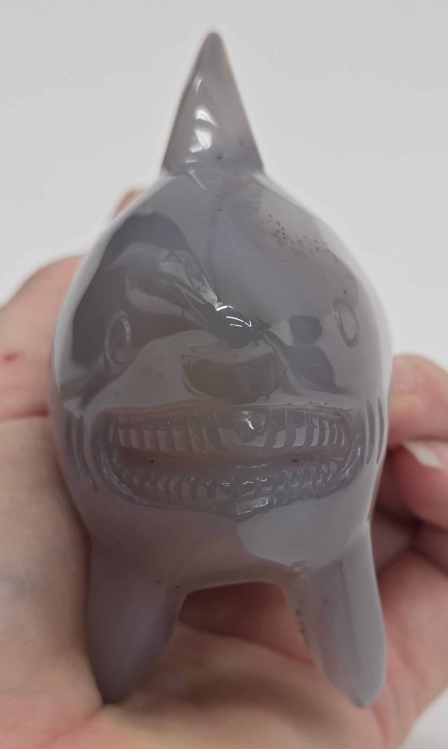 Grey Agate shark carving on a white background
