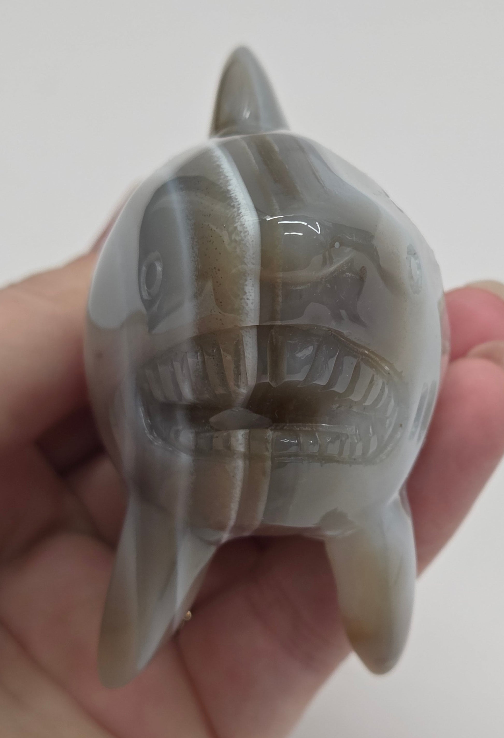 Hand holding an Agate shark carving with banding on a white background