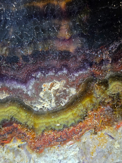 Close-up of a colorful stone with purple, yellow, and brown hues.