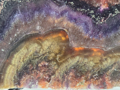 Close-up of a colorful stone with brown, purple, and black hues