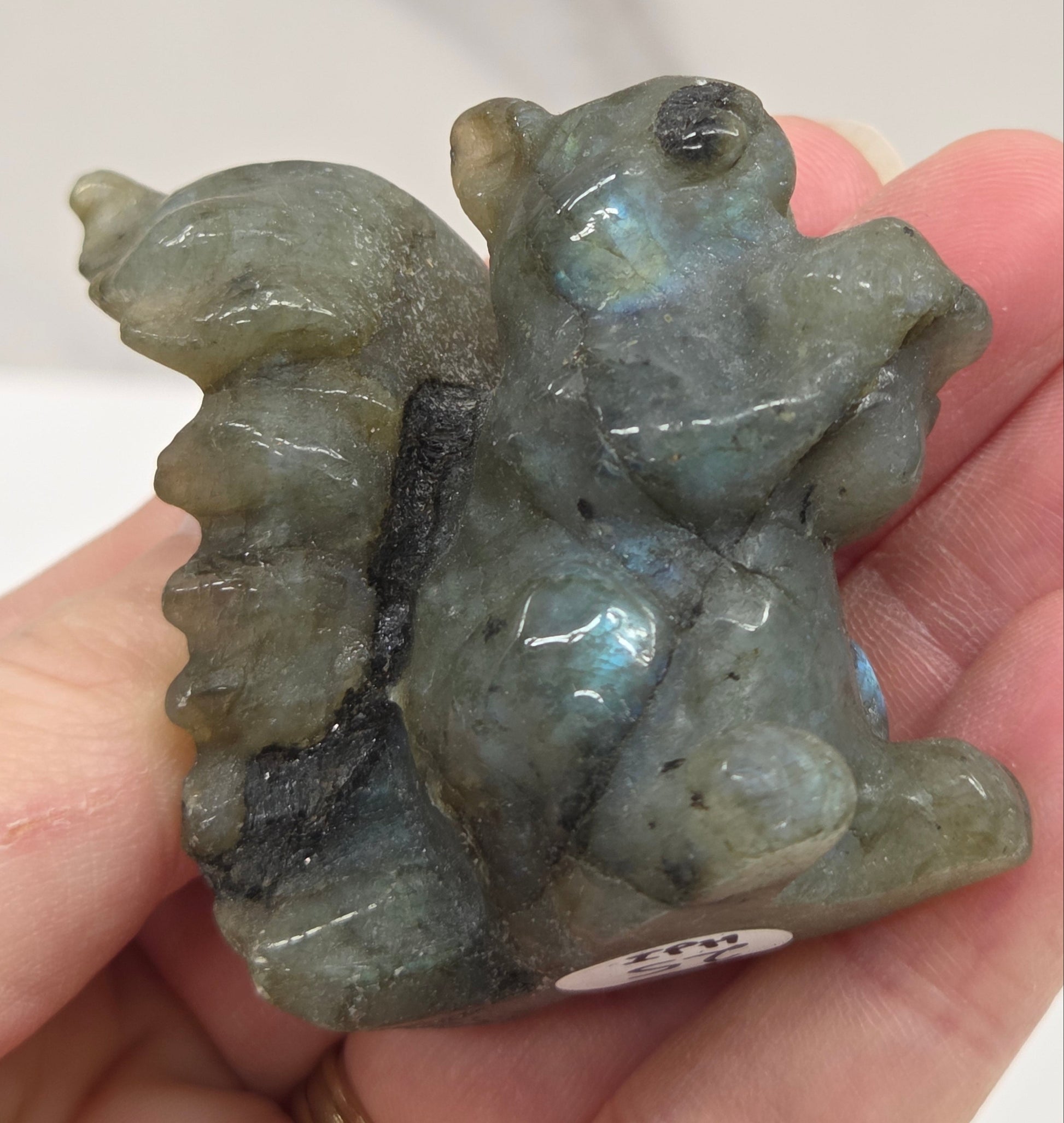 Hand holding a labradorite stone shaped like a squirrel on a white background