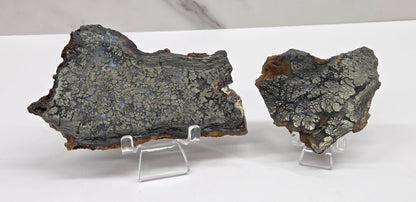 Mineral slabs of agate with marcasite on a stand on a white background