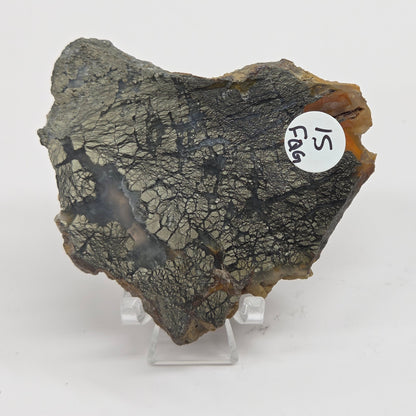 Mineral slab of agate with marcasite on a stand on a white background