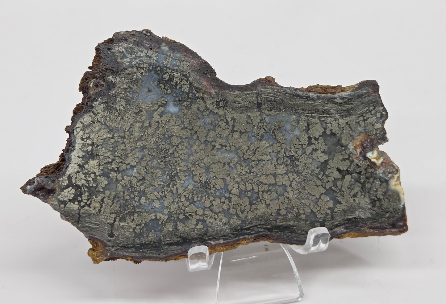 Mineral slab of agate with marcasite on a stand on a white background