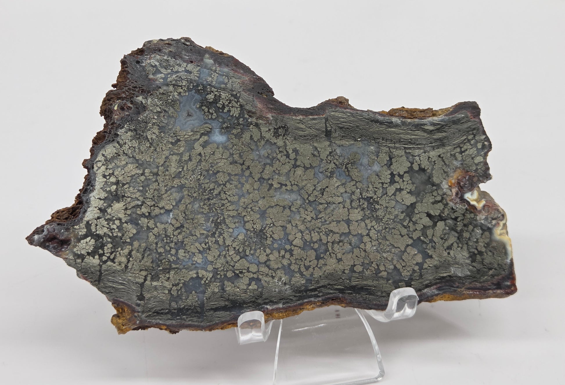 Mineral slab of agate with marcasite on a stand on a white background