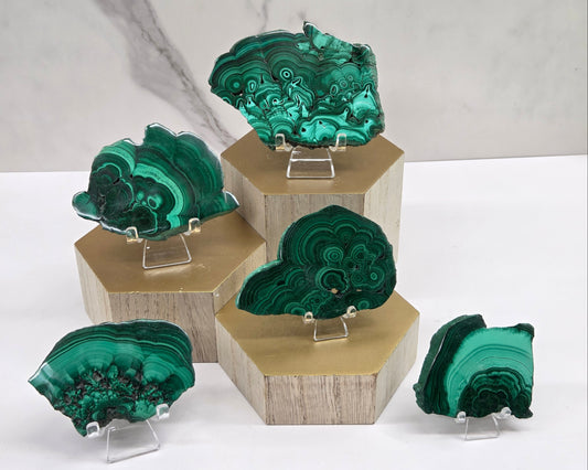 Green malachite crystal specimens on wooden stands against a white background