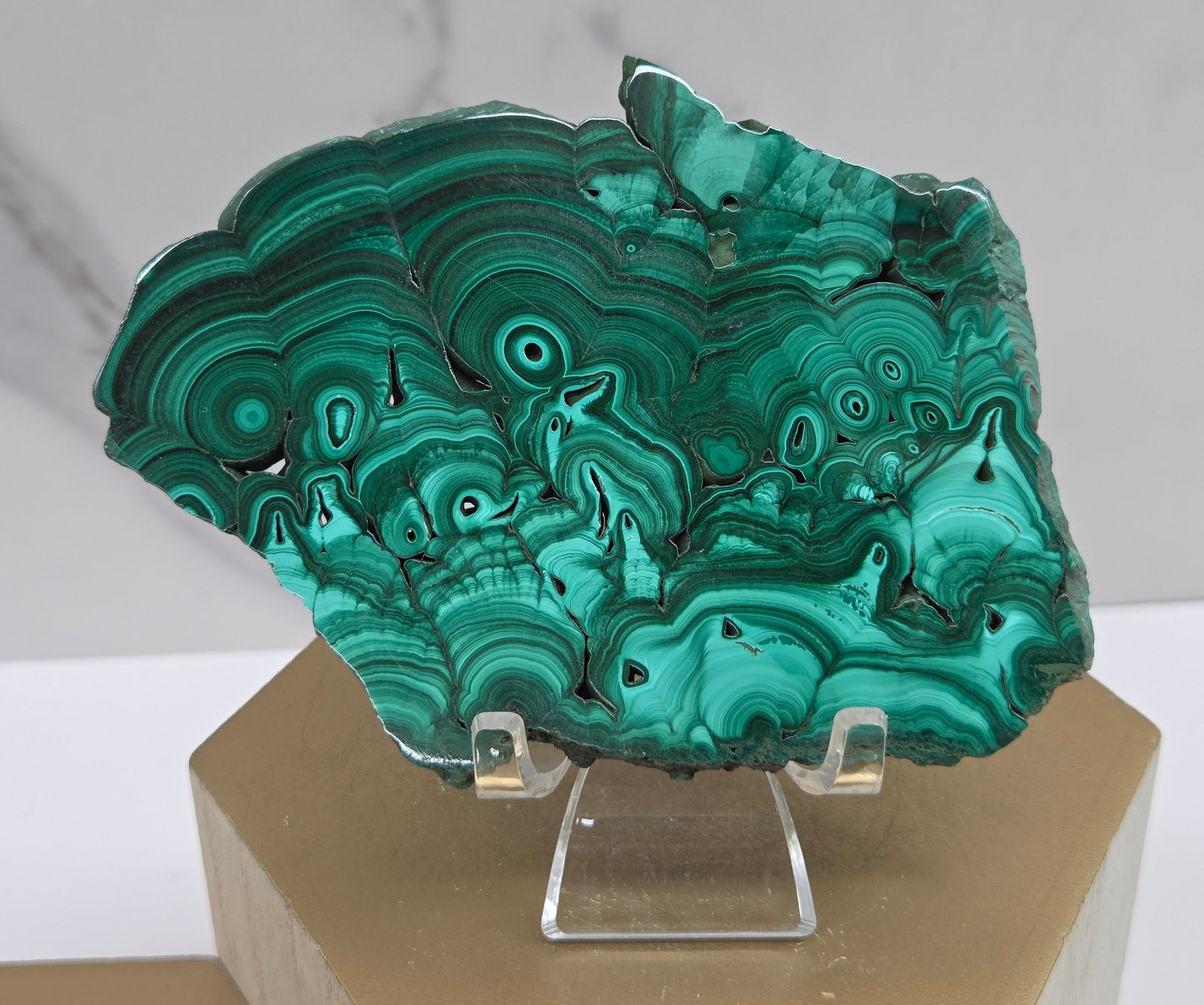 Malachite crystal on a stand with a neutral background